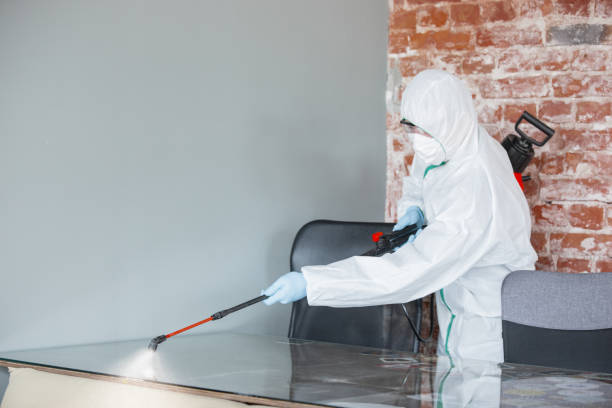 Best Basement Mold Removal  in Waverly, TN