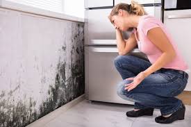 Best Air Quality Testing for Mold Spores  in Waverly, TN